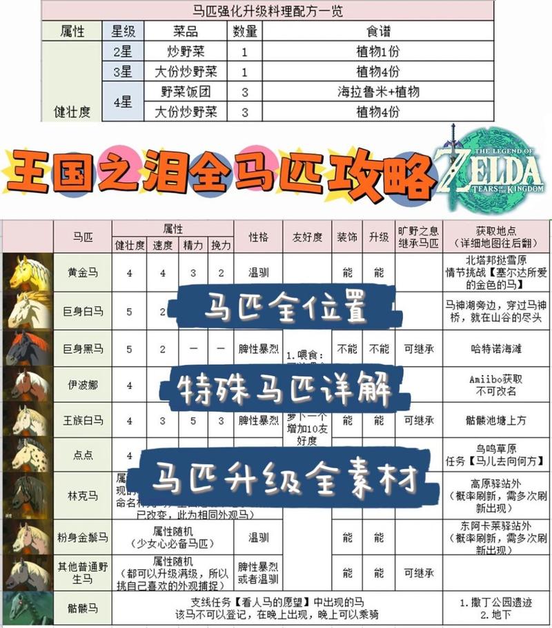 塞尔达传说王国之泪金手指代码全集:最新实用攻略大全